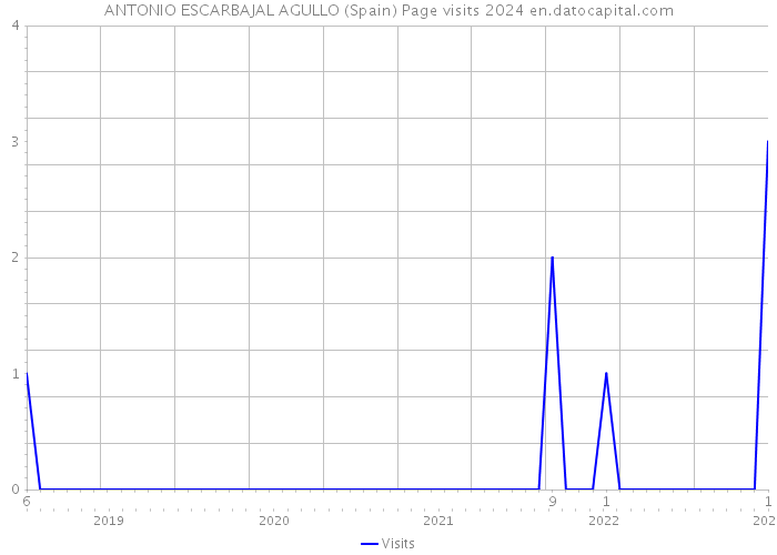 ANTONIO ESCARBAJAL AGULLO (Spain) Page visits 2024 