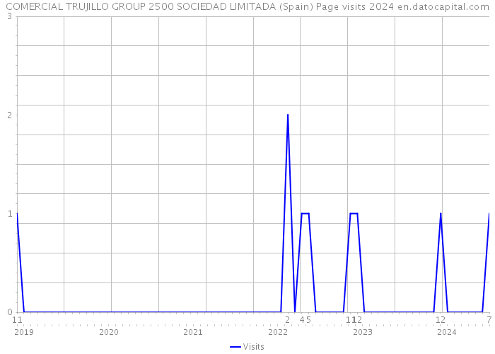 COMERCIAL TRUJILLO GROUP 2500 SOCIEDAD LIMITADA (Spain) Page visits 2024 