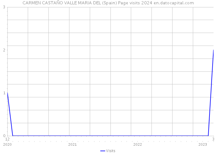 CARMEN CASTAÑO VALLE MARIA DEL (Spain) Page visits 2024 