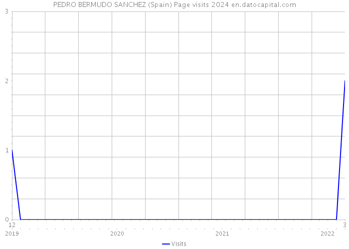 PEDRO BERMUDO SANCHEZ (Spain) Page visits 2024 