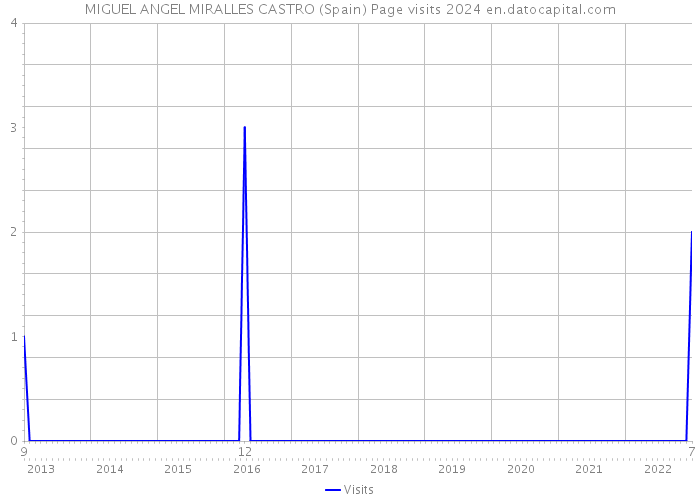 MIGUEL ANGEL MIRALLES CASTRO (Spain) Page visits 2024 