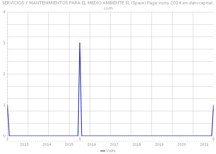 SERVICIOS Y MANTENIMIENTOS PARA EL MEDIO AMBIENTE SL (Spain) Page visits 2024 