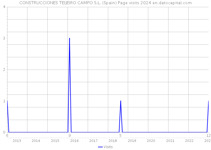 CONSTRUCCIONES TEIJEIRO CAMPO S.L. (Spain) Page visits 2024 