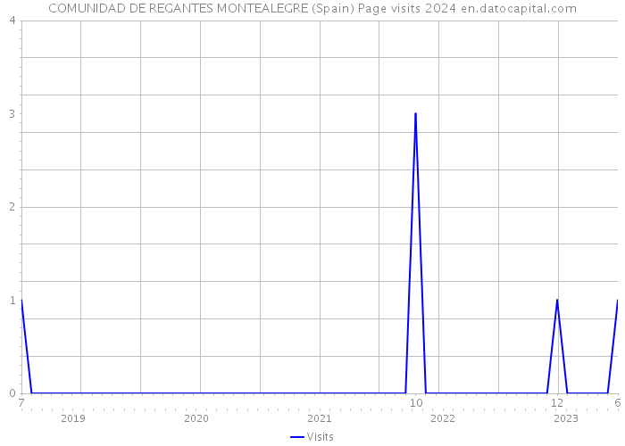 COMUNIDAD DE REGANTES MONTEALEGRE (Spain) Page visits 2024 