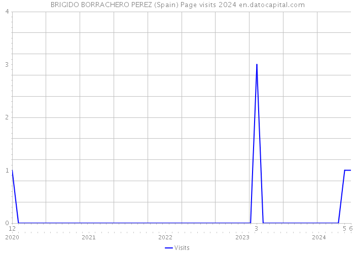 BRIGIDO BORRACHERO PEREZ (Spain) Page visits 2024 