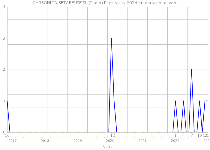 CARBONICA SETABENSE SL (Spain) Page visits 2024 