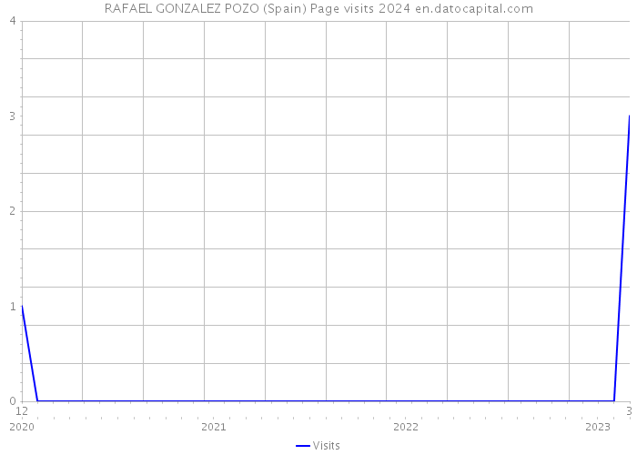 RAFAEL GONZALEZ POZO (Spain) Page visits 2024 