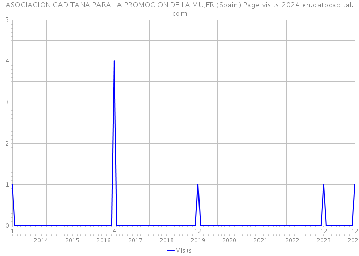 ASOCIACION GADITANA PARA LA PROMOCION DE LA MUJER (Spain) Page visits 2024 