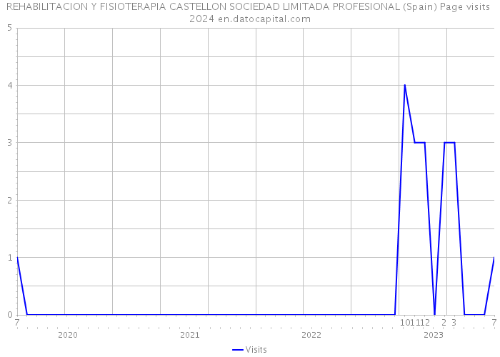REHABILITACION Y FISIOTERAPIA CASTELLON SOCIEDAD LIMITADA PROFESIONAL (Spain) Page visits 2024 