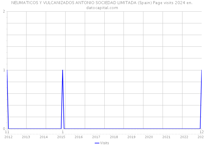 NEUMATICOS Y VULCANIZADOS ANTONIO SOCIEDAD LIMITADA (Spain) Page visits 2024 