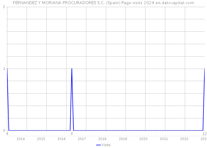 FERNANDEZ Y MORIANA PROCURADORES S.C. (Spain) Page visits 2024 