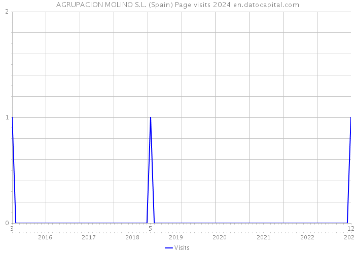 AGRUPACION MOLINO S.L. (Spain) Page visits 2024 