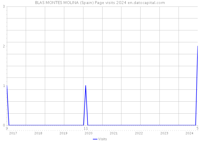 BLAS MONTES MOLINA (Spain) Page visits 2024 