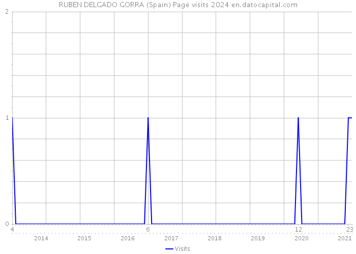 RUBEN DELGADO GORRA (Spain) Page visits 2024 