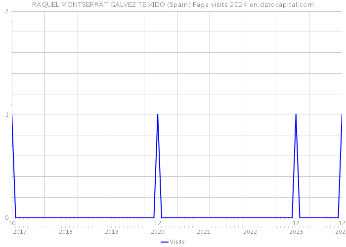 RAQUEL MONTSERRAT GALVEZ TEIXIDO (Spain) Page visits 2024 