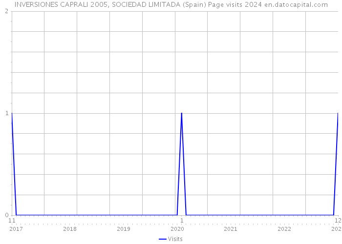 INVERSIONES CAPRALI 2005, SOCIEDAD LIMITADA (Spain) Page visits 2024 
