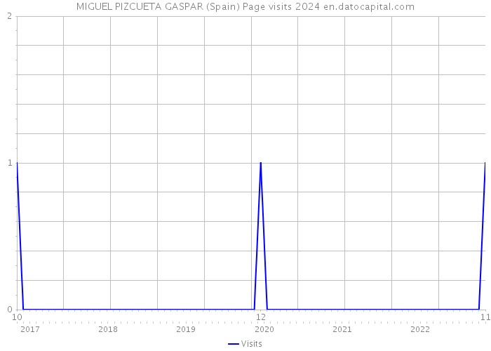 MIGUEL PIZCUETA GASPAR (Spain) Page visits 2024 