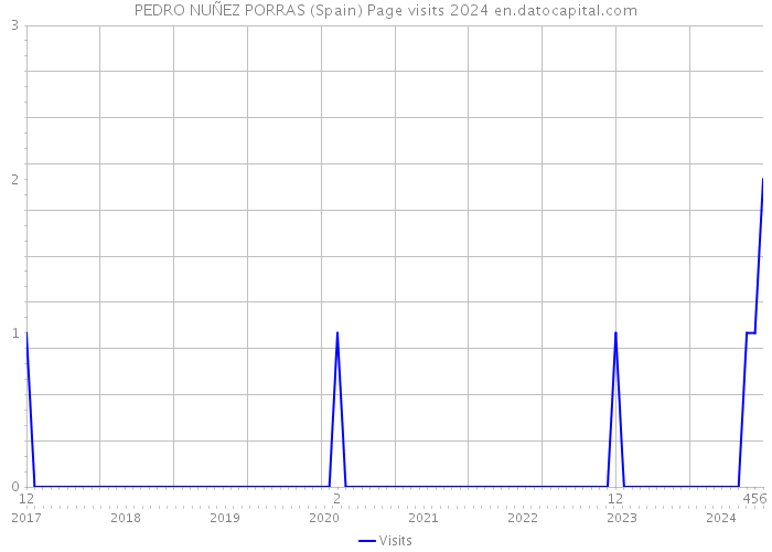 PEDRO NUÑEZ PORRAS (Spain) Page visits 2024 