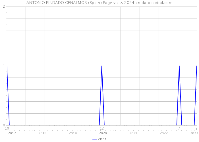 ANTONIO PINDADO CENALMOR (Spain) Page visits 2024 