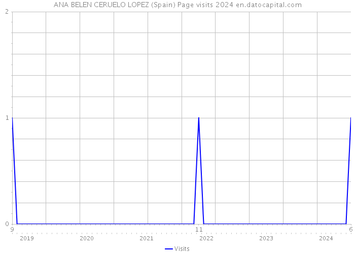 ANA BELEN CERUELO LOPEZ (Spain) Page visits 2024 