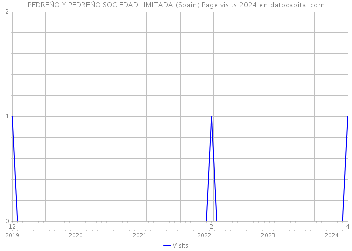 PEDREÑO Y PEDREÑO SOCIEDAD LIMITADA (Spain) Page visits 2024 