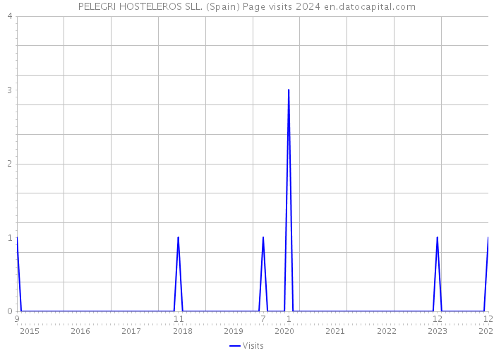 PELEGRI HOSTELEROS SLL. (Spain) Page visits 2024 