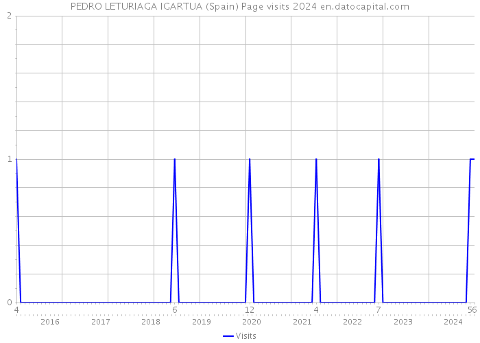 PEDRO LETURIAGA IGARTUA (Spain) Page visits 2024 