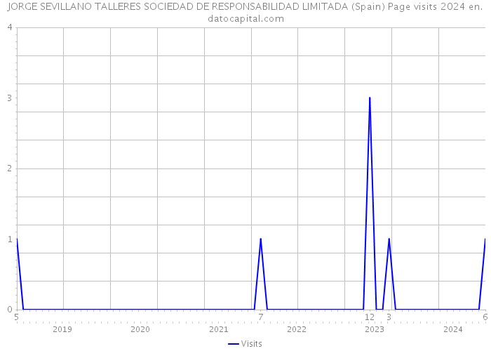 JORGE SEVILLANO TALLERES SOCIEDAD DE RESPONSABILIDAD LIMITADA (Spain) Page visits 2024 