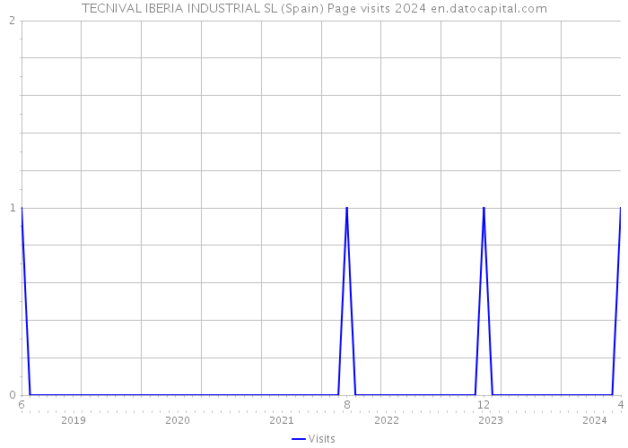TECNIVAL IBERIA INDUSTRIAL SL (Spain) Page visits 2024 