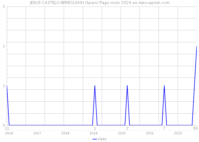 JESUS CASTELO BEREGUIAIN (Spain) Page visits 2024 