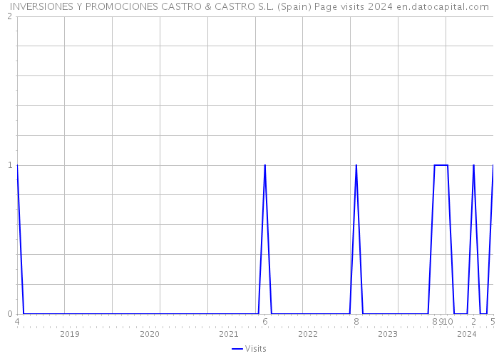 INVERSIONES Y PROMOCIONES CASTRO & CASTRO S.L. (Spain) Page visits 2024 