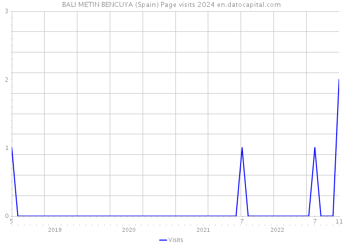 BALI METIN BENCUYA (Spain) Page visits 2024 