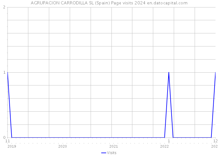 AGRUPACION CARRODILLA SL (Spain) Page visits 2024 