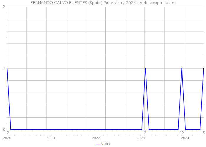 FERNANDO CALVO FUENTES (Spain) Page visits 2024 