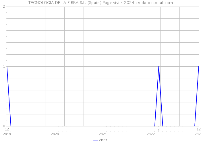 TECNOLOGIA DE LA FIBRA S.L. (Spain) Page visits 2024 