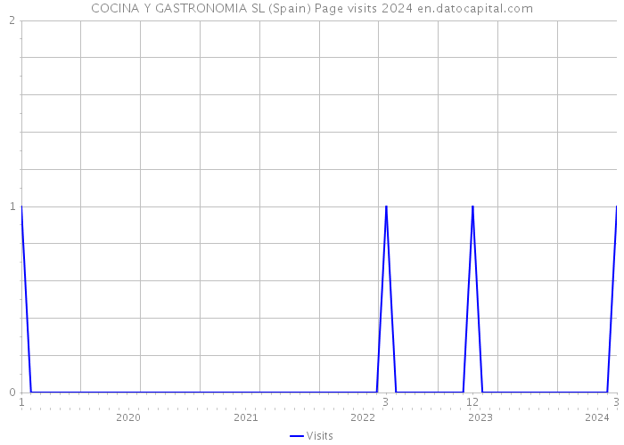COCINA Y GASTRONOMIA SL (Spain) Page visits 2024 