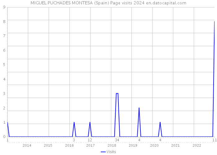 MIGUEL PUCHADES MONTESA (Spain) Page visits 2024 