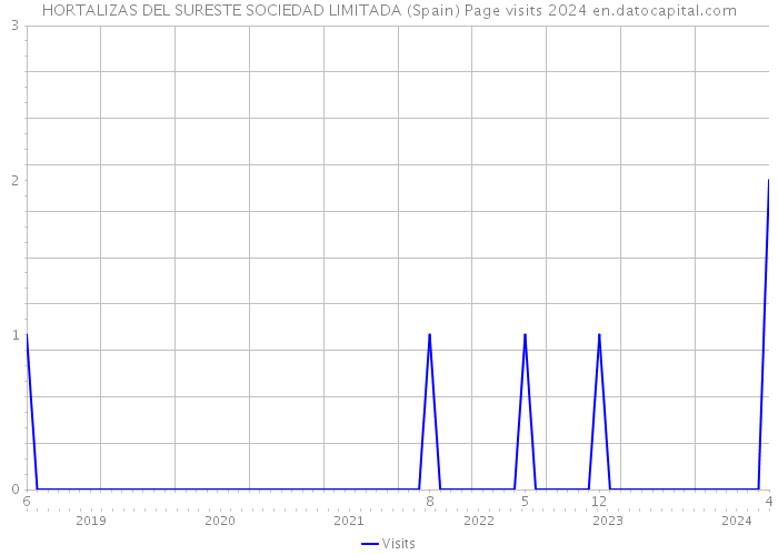 HORTALIZAS DEL SURESTE SOCIEDAD LIMITADA (Spain) Page visits 2024 