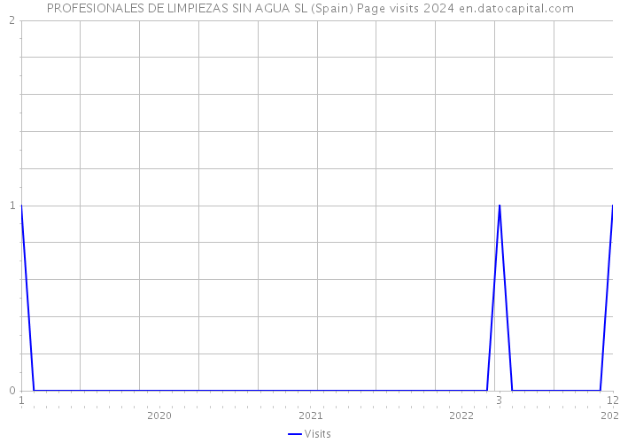 PROFESIONALES DE LIMPIEZAS SIN AGUA SL (Spain) Page visits 2024 