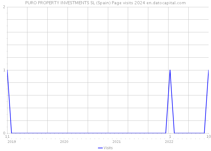 PURO PROPERTY INVESTMENTS SL (Spain) Page visits 2024 