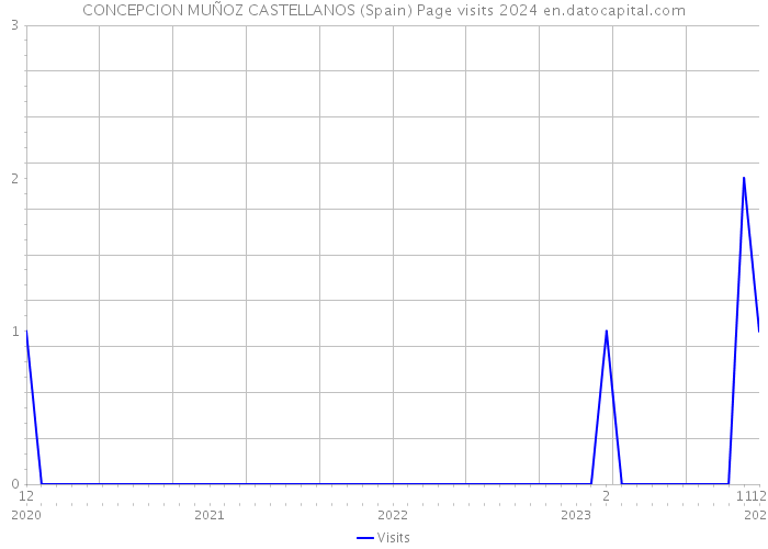 CONCEPCION MUÑOZ CASTELLANOS (Spain) Page visits 2024 