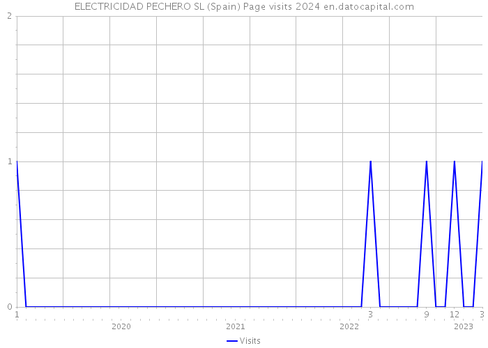 ELECTRICIDAD PECHERO SL (Spain) Page visits 2024 