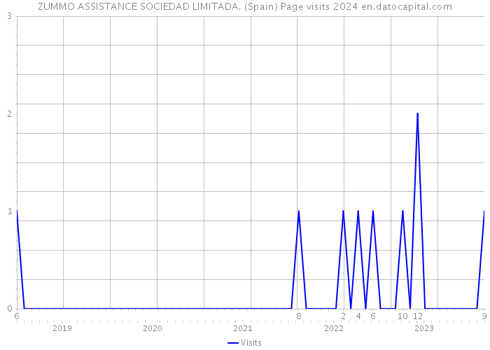 ZUMMO ASSISTANCE SOCIEDAD LIMITADA. (Spain) Page visits 2024 
