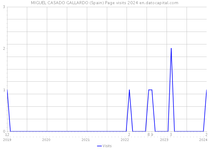 MIGUEL CASADO GALLARDO (Spain) Page visits 2024 