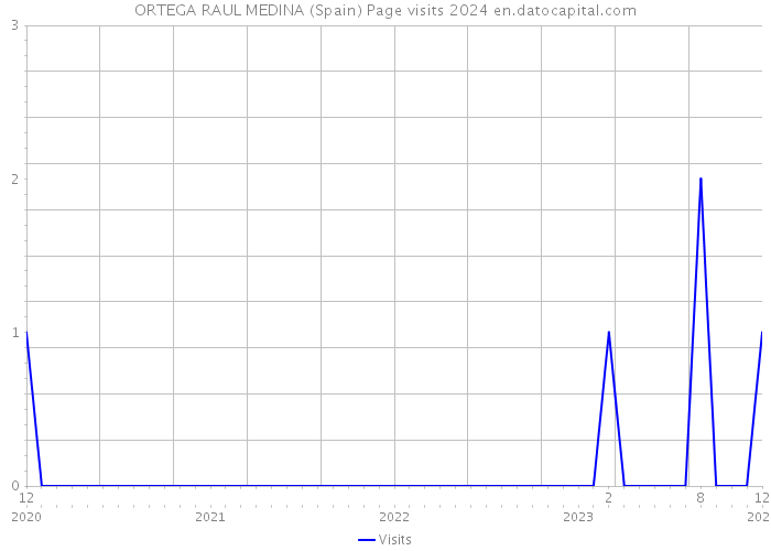 ORTEGA RAUL MEDINA (Spain) Page visits 2024 