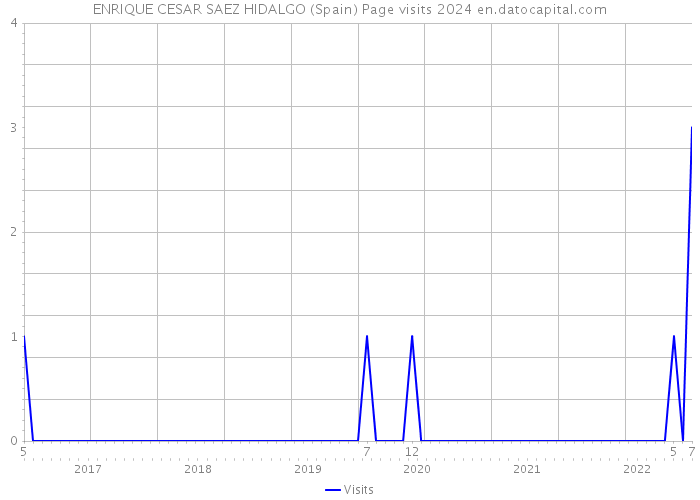 ENRIQUE CESAR SAEZ HIDALGO (Spain) Page visits 2024 