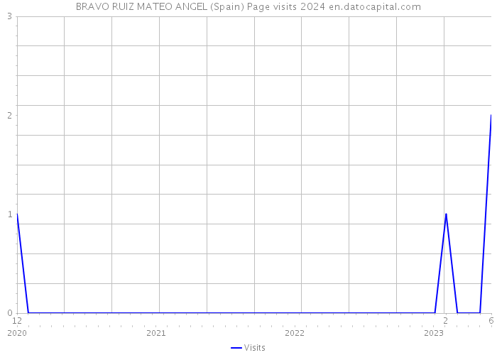 BRAVO RUIZ MATEO ANGEL (Spain) Page visits 2024 