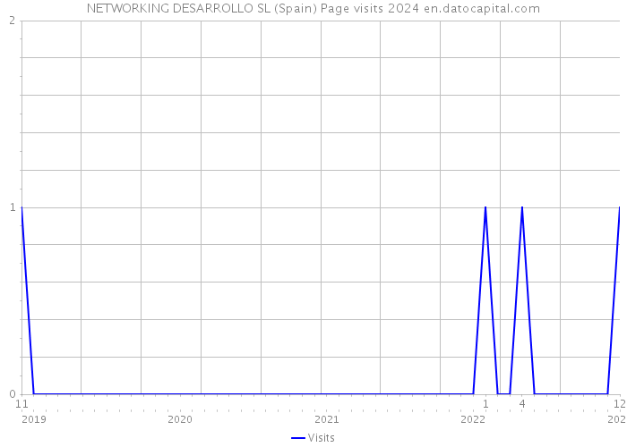 NETWORKING DESARROLLO SL (Spain) Page visits 2024 