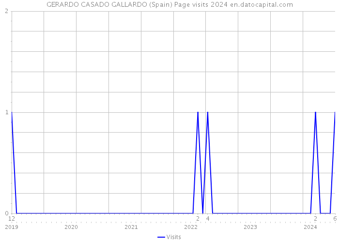 GERARDO CASADO GALLARDO (Spain) Page visits 2024 