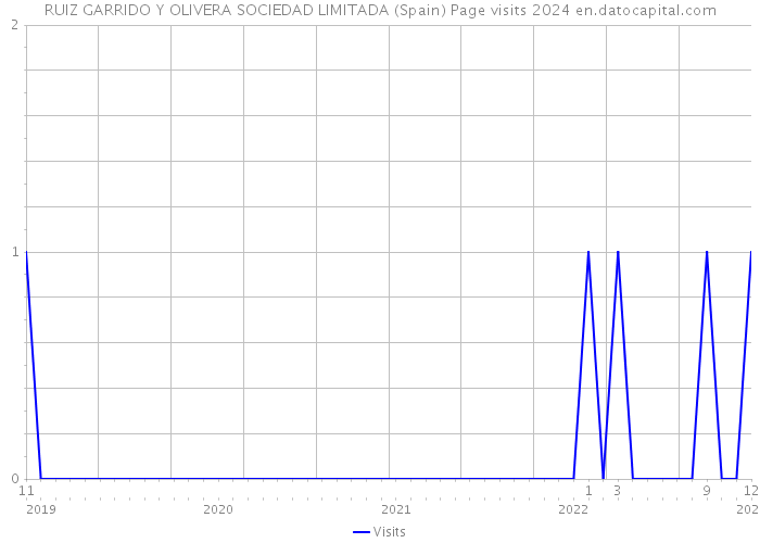 RUIZ GARRIDO Y OLIVERA SOCIEDAD LIMITADA (Spain) Page visits 2024 
